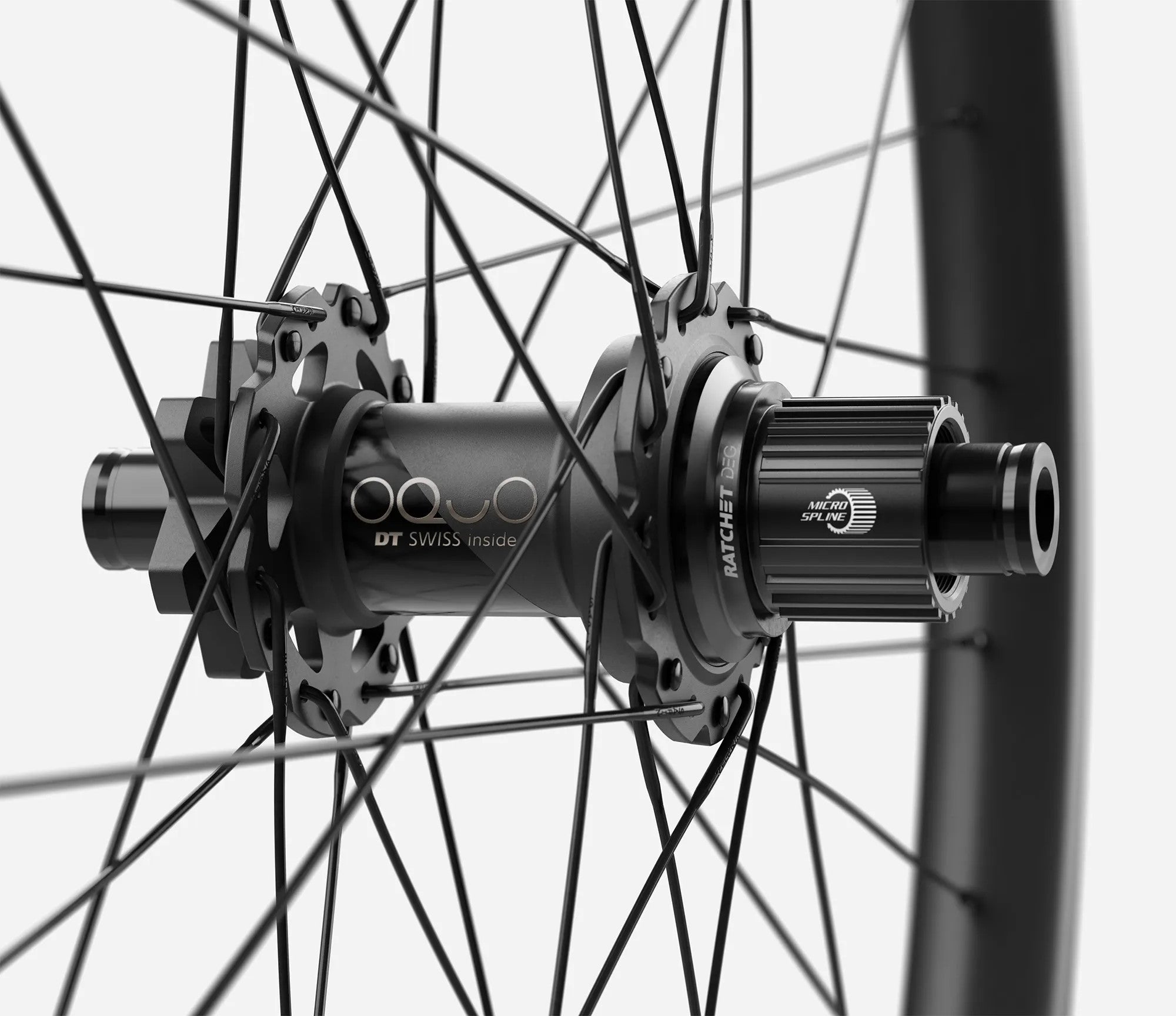 front-04-oquo-mc32ltd-ms