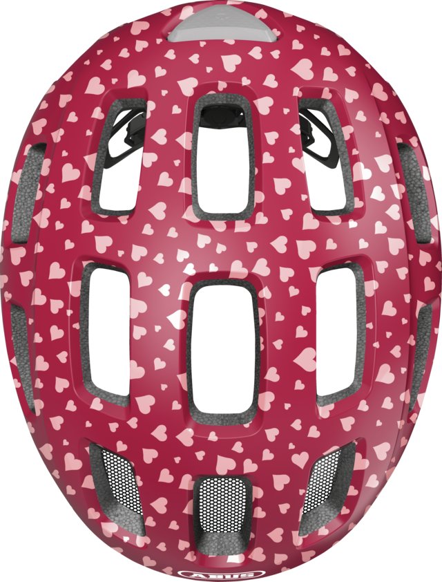 10063808-01